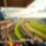 A panoramic view of Cheltenham Racecourse during an event