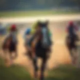 Guide to horse betting strategies