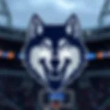 The Minnesota Timberwolves logo showcasing their team spirit