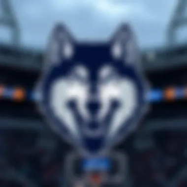 The Minnesota Timberwolves logo showcasing their team spirit