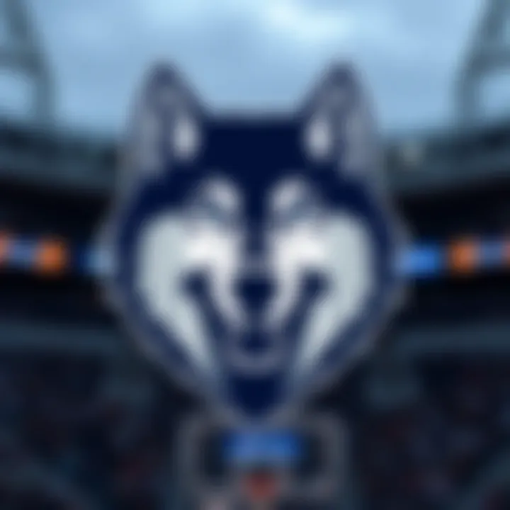 The Minnesota Timberwolves logo showcasing their team spirit