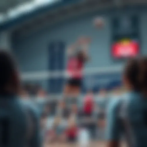 Overview of the Russian Women's Volleyball League