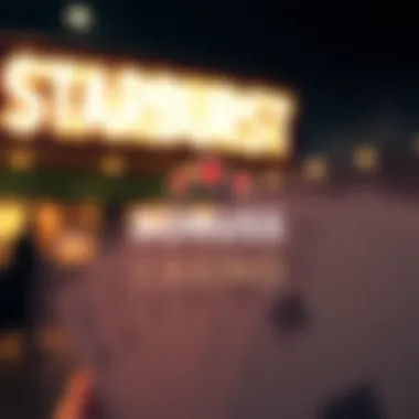 Attractive Bonuses at Starburst Casino Exciting bonus offers